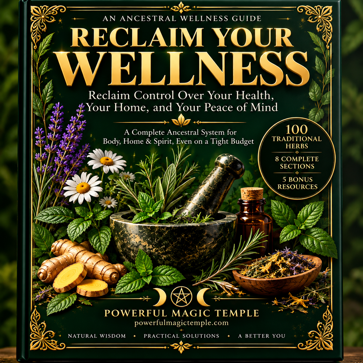 Reclaim Your Wellness book cover